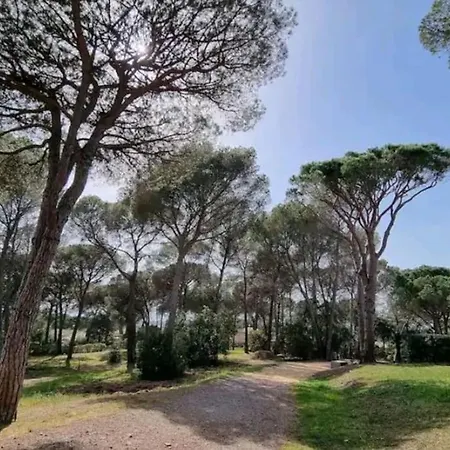 Chez K&d Zen Apartment Saint-Raphael (Var)